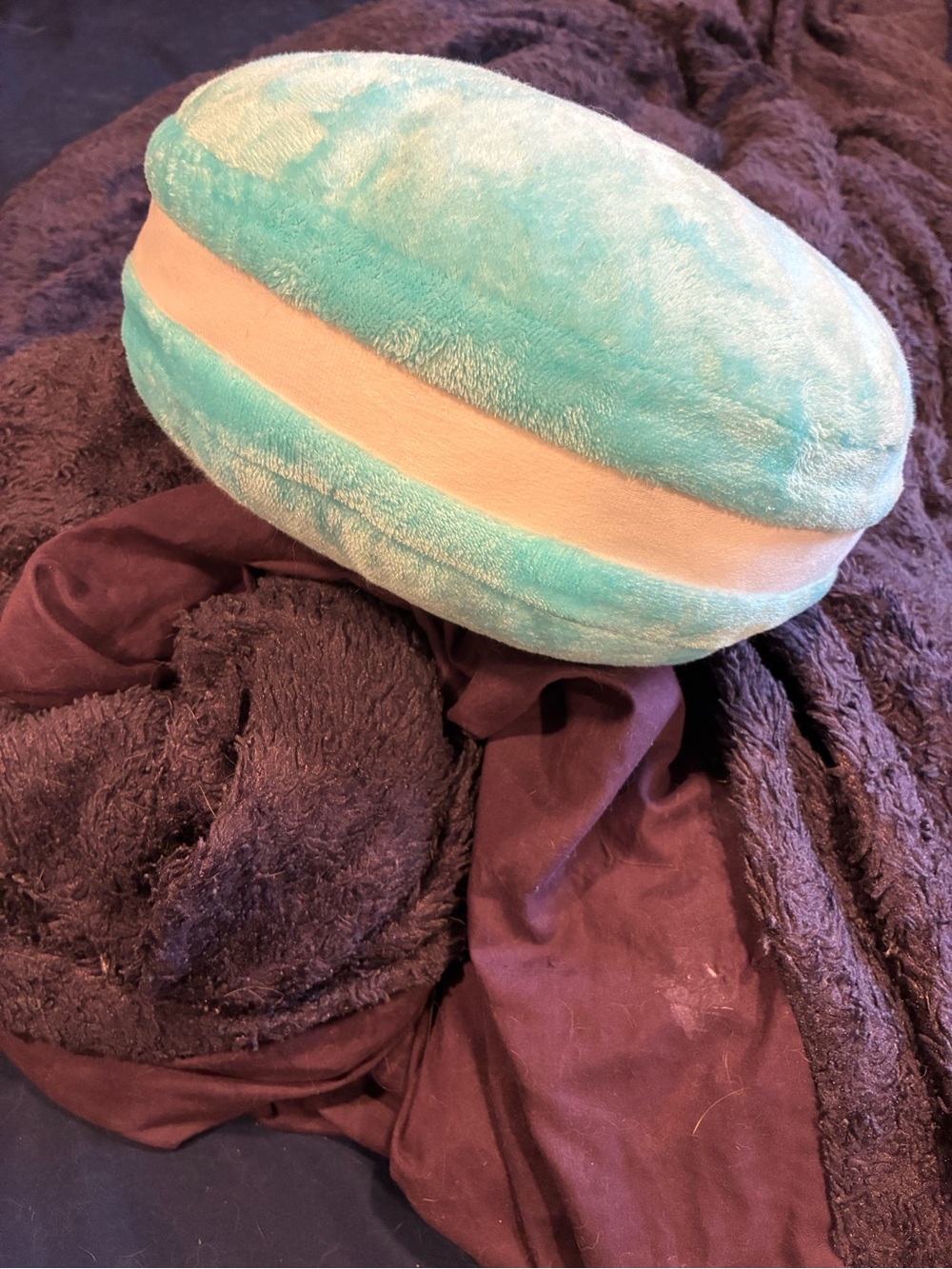 Aqua Plush Accent Pillow with Cream Band - Soft Decorative Cushion